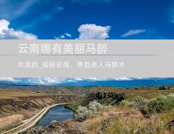 云南哪有美丽马醉木卖的_探秘云南，寻觅迷人马醉木