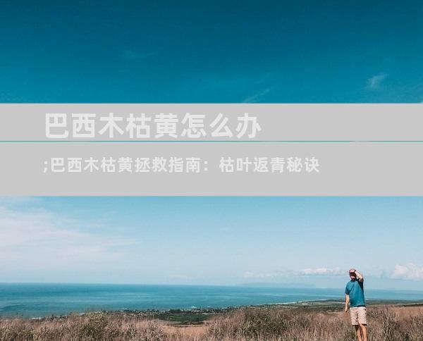 巴西木枯黄怎么办;巴西木枯黄拯救指南：枯叶返青秘诀