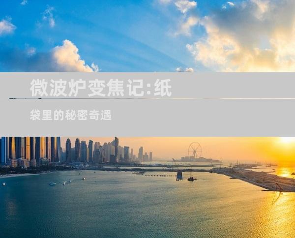 微波炉变焦记:纸袋里的秘密奇遇