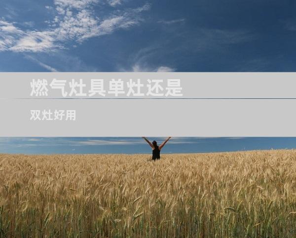 燃气灶具单灶还是双灶好用