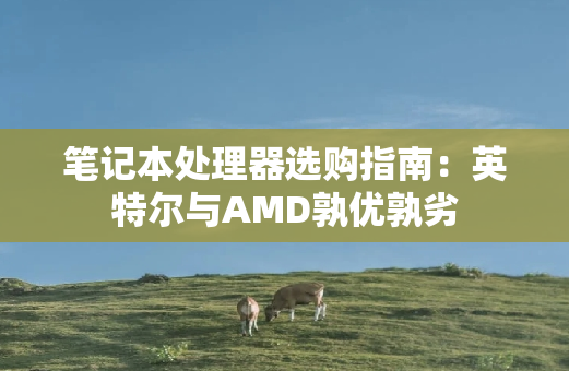 笔记本处理器选购指南：英特尔与AMD孰优孰劣