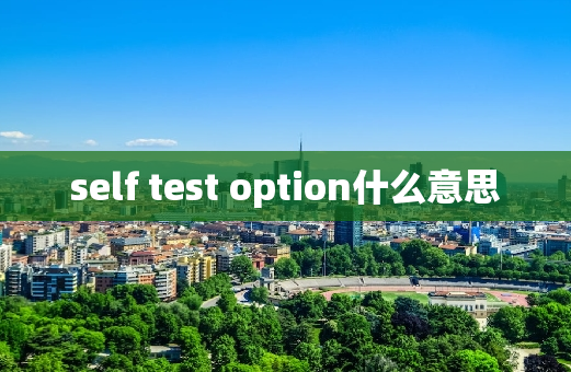 self test option什么意思